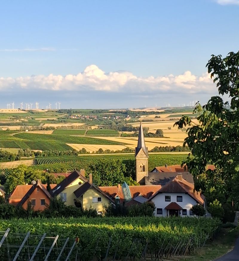 Bild "Willkommen:Sommer1.jpg"