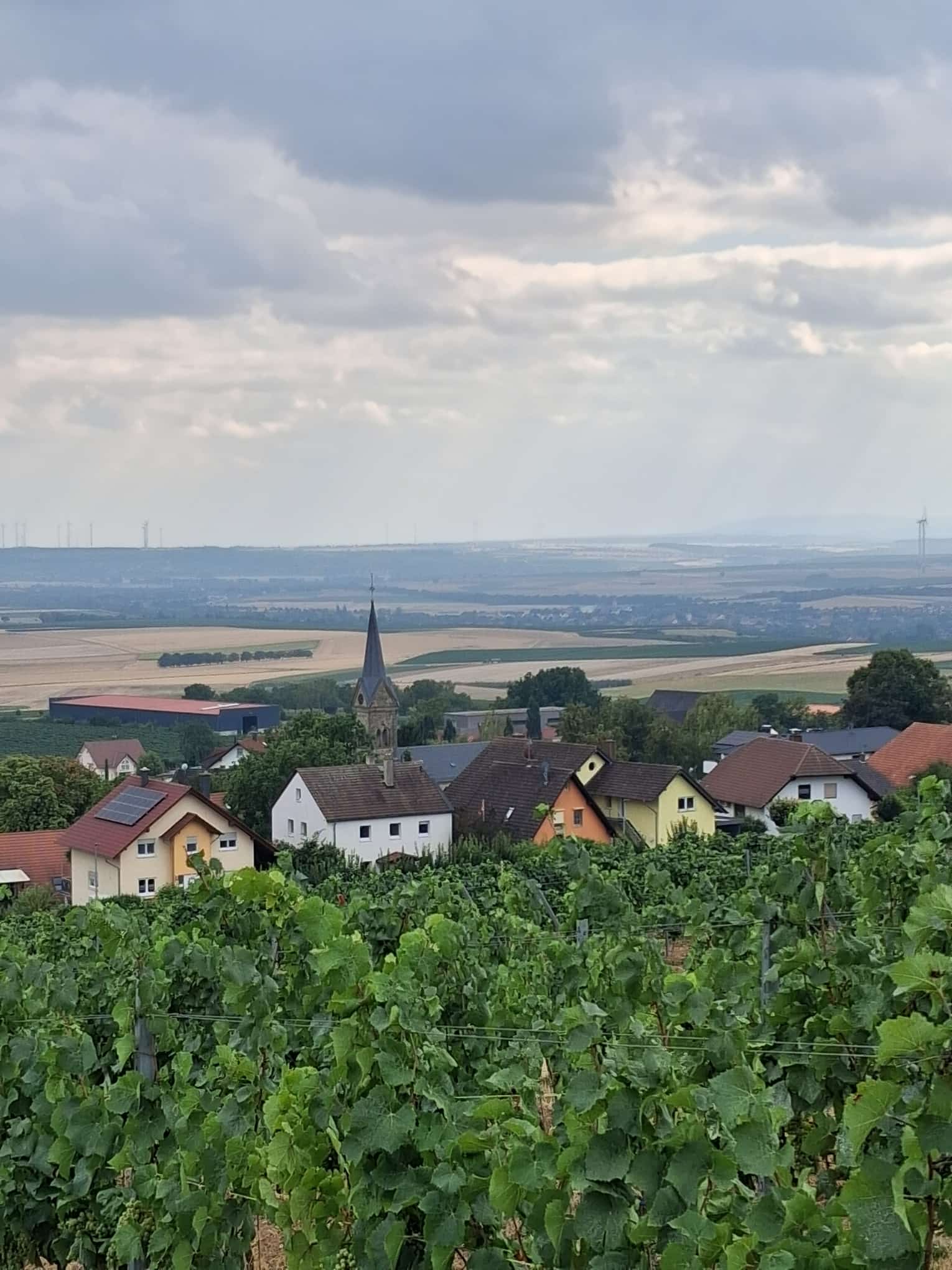 Bild "Willkommen:IMG-20260817-WA0001.jpg"